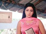 sridevi06.jpg